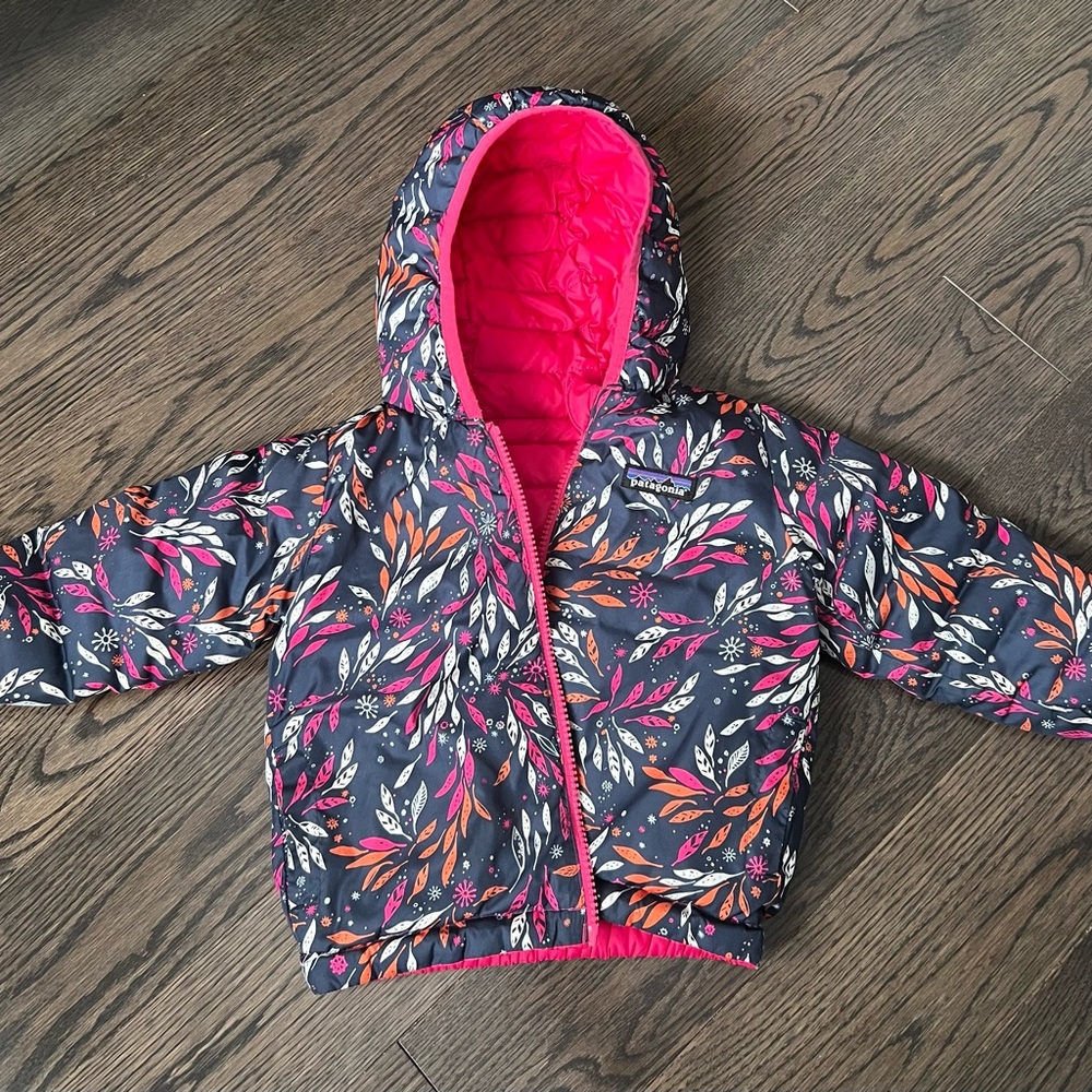 Patagonia Reversible Down Sweater Hoodie